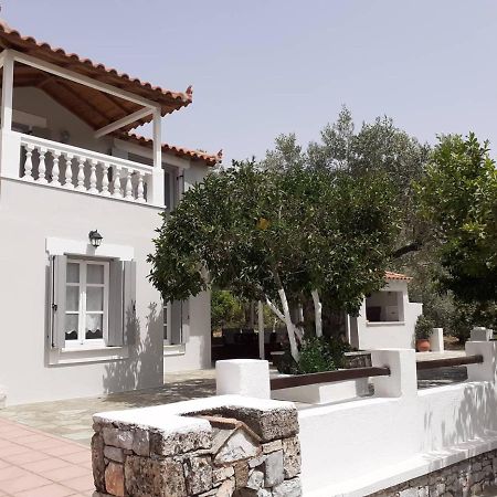 Villa Tillia Panormos  エクステリア 写真