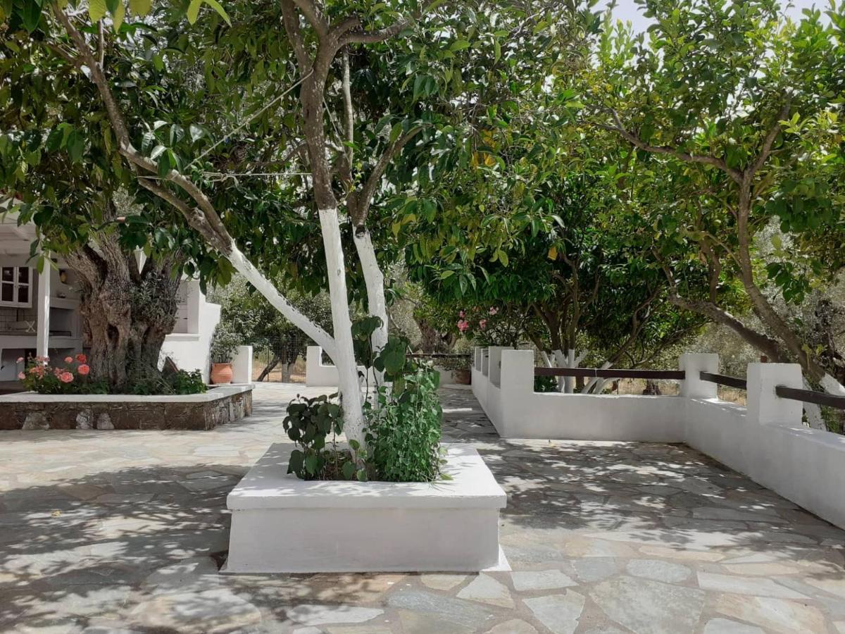 Villa Tillia Panormos  エクステリア 写真