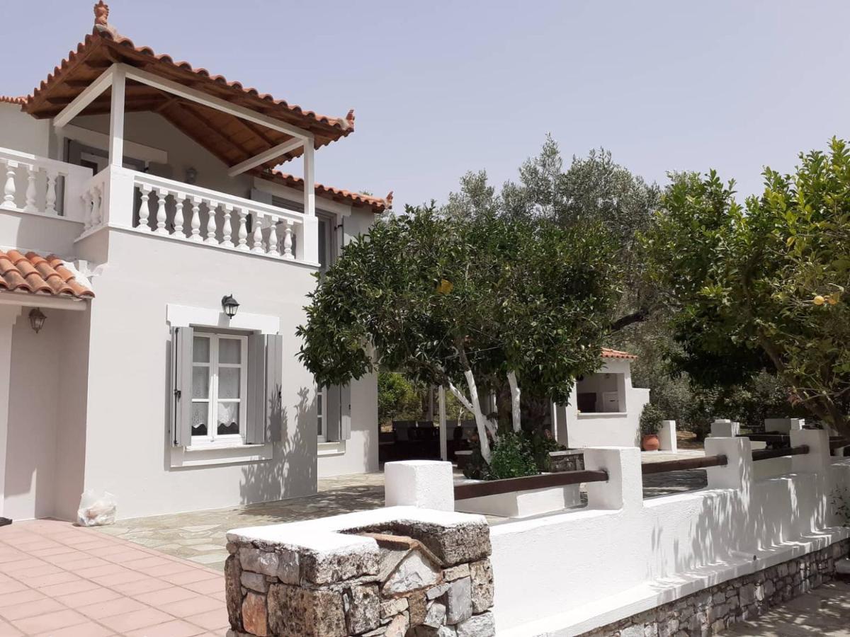 Villa Tillia Panormos  エクステリア 写真