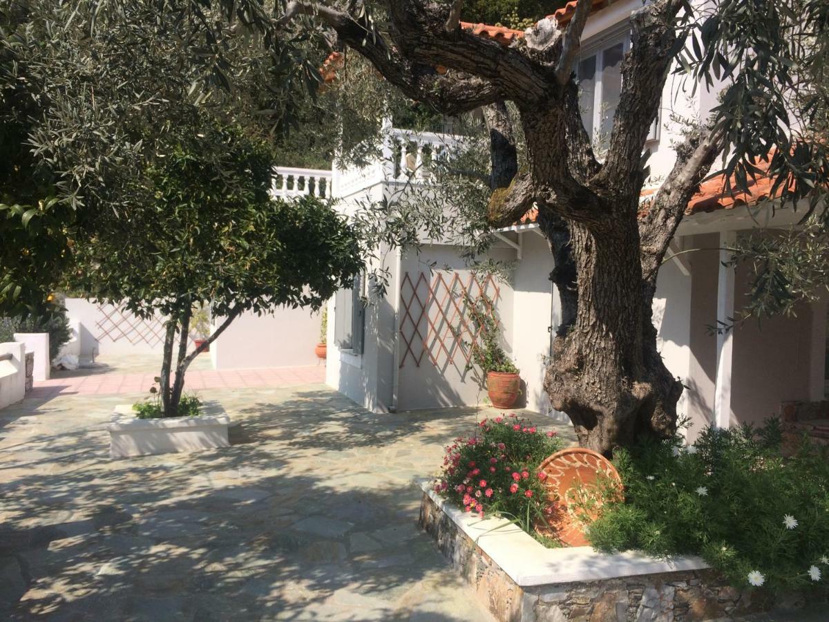 Villa Tillia Panormos  エクステリア 写真