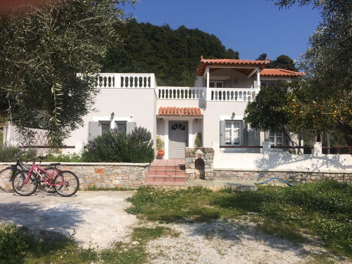 Villa Tillia Panormos  エクステリア 写真